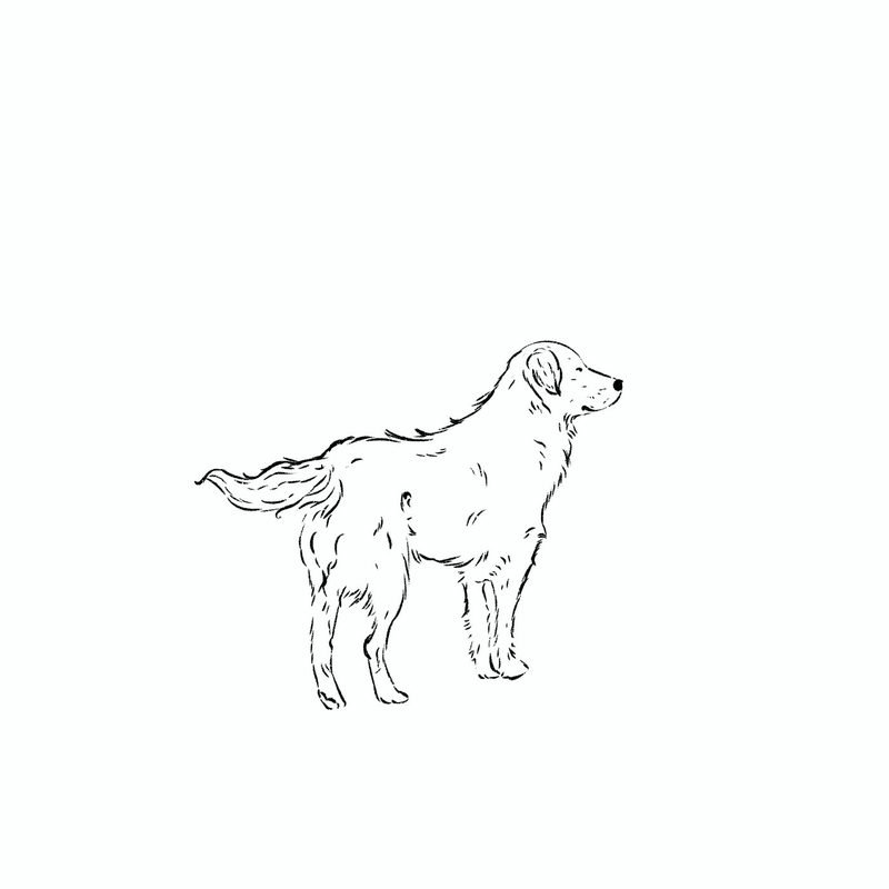 illus_bw_black_different_positions_alert_looking_right
