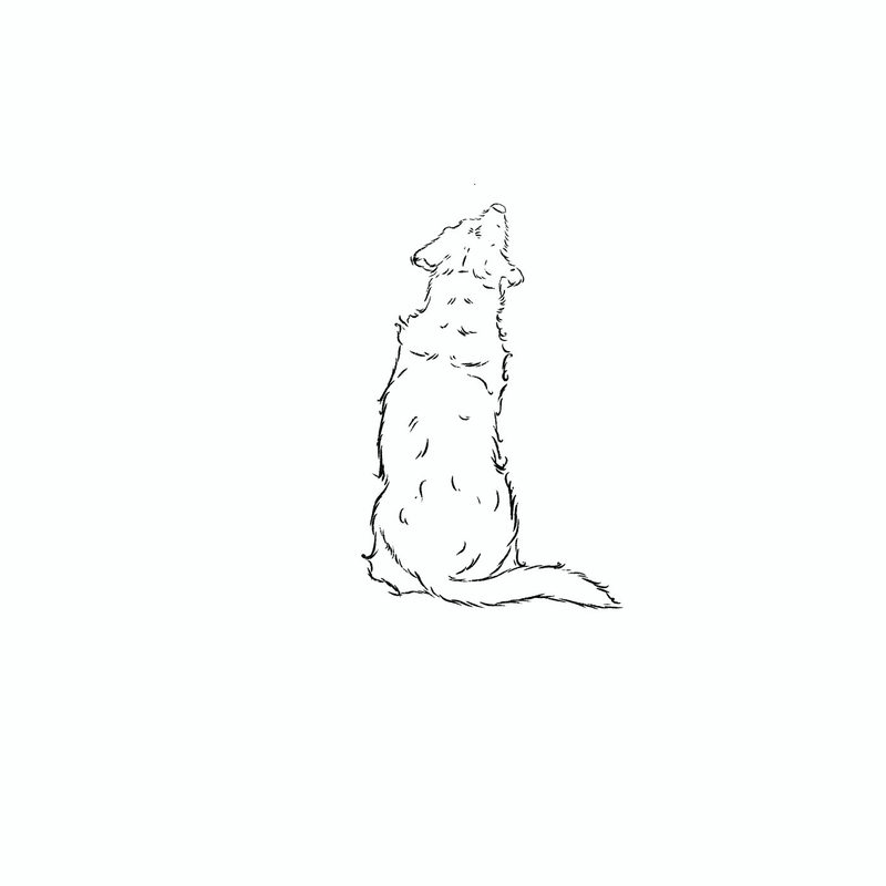 illus_bw_black_different_positions_looking_up_to_sky