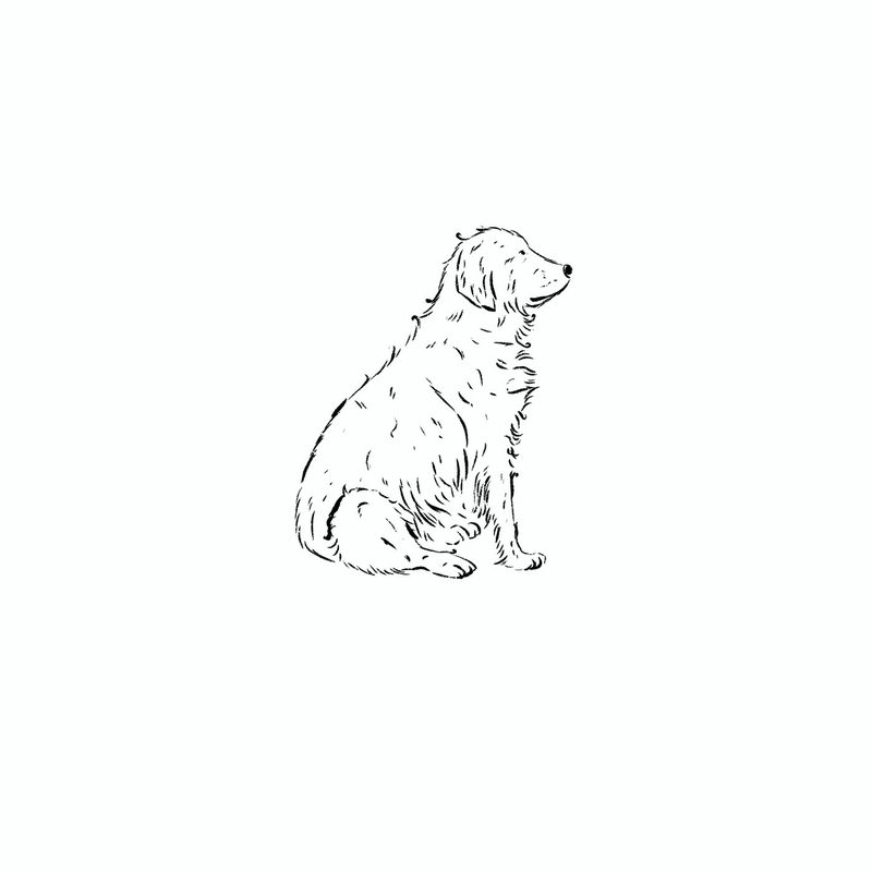 illus_bw_black_different_positions_sat_facing_right