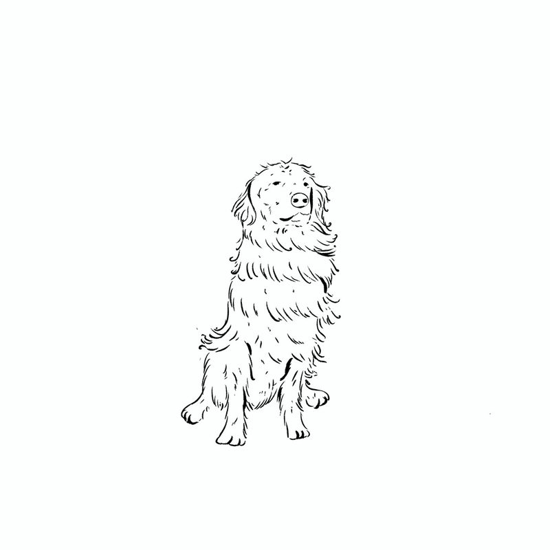 illus_bw_black_different_positions_sat_on_hind_forward