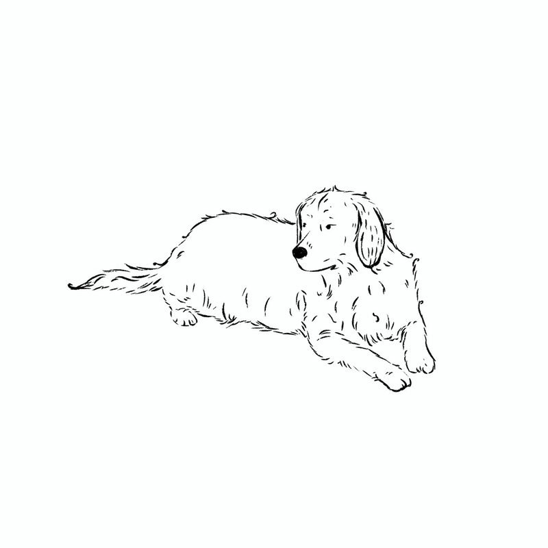 illus_bw_black_different_positions_sat_paws_forward