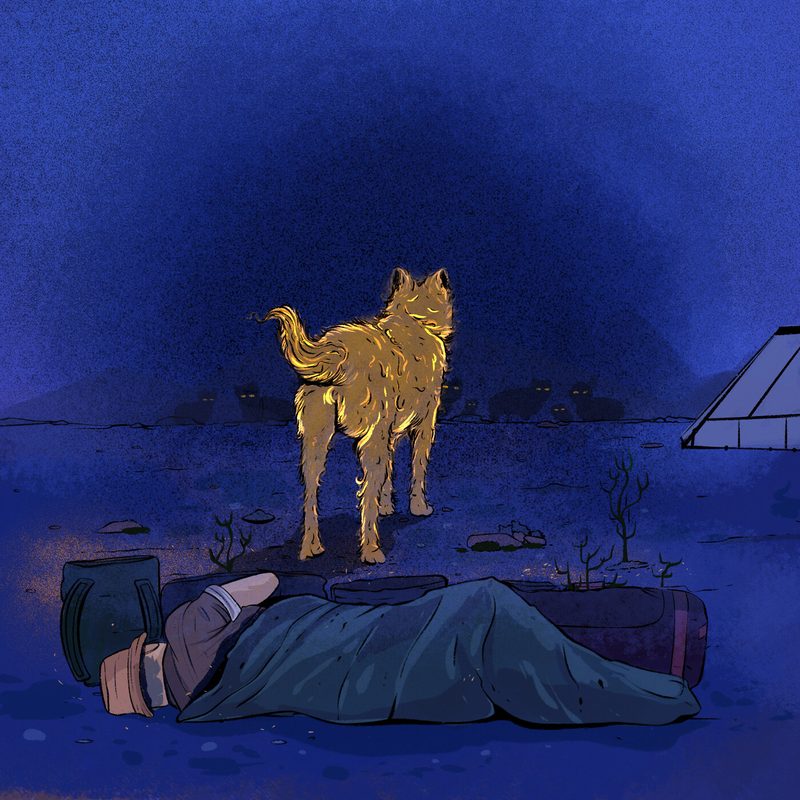 Black the dog stands guard over Steve, as wild dogs prowl around the campsite.