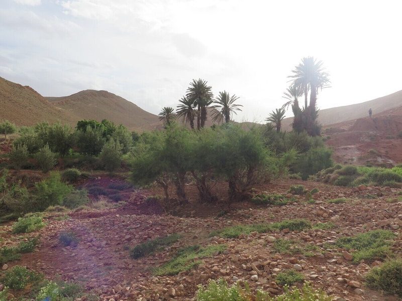 TSD_trekphotos_Scenery_002