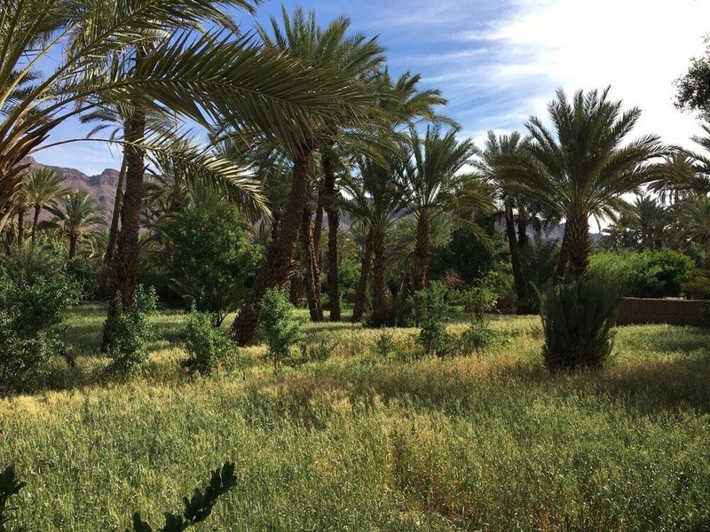 TSD_trekphotos_Scenery_011