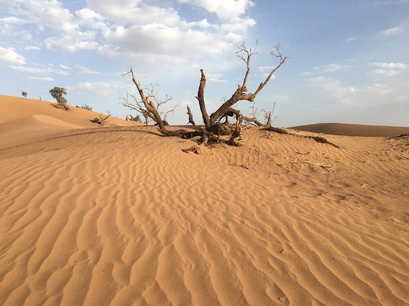 TSD_trekphotos_Scenery_015